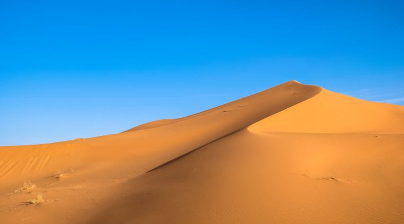 découvrez le climat désertique, un écosystème fascinant caractérisé par des températures extrêmes, des précipitations rares et une biodiversité unique. explorez les adaptations des plantes et des animaux qui prospèrent dans ces conditions arides.