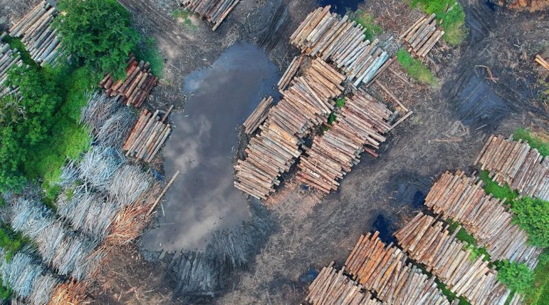 découvrez les enjeux de la déforestation, ses impacts sur l'environnement, la biodiversité et le changement climatique, ainsi que des solutions durables pour préserver nos forêts.