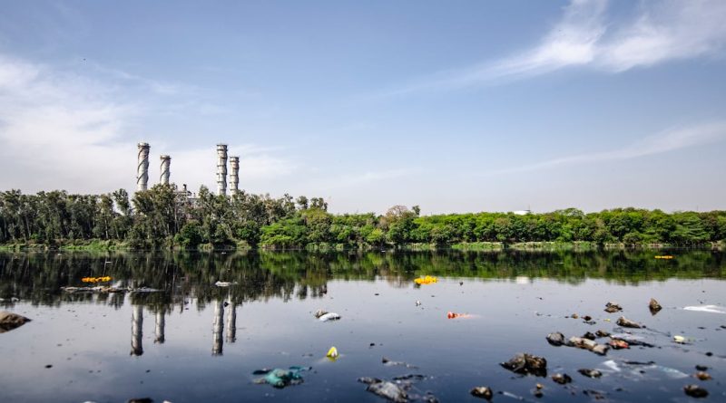 découvrez l'impact de la pollution sur notre environnement et notre santé. explorez les causes, les conséquences et les solutions pour réduire cette menace écologique et préserver notre planète pour les générations futures.