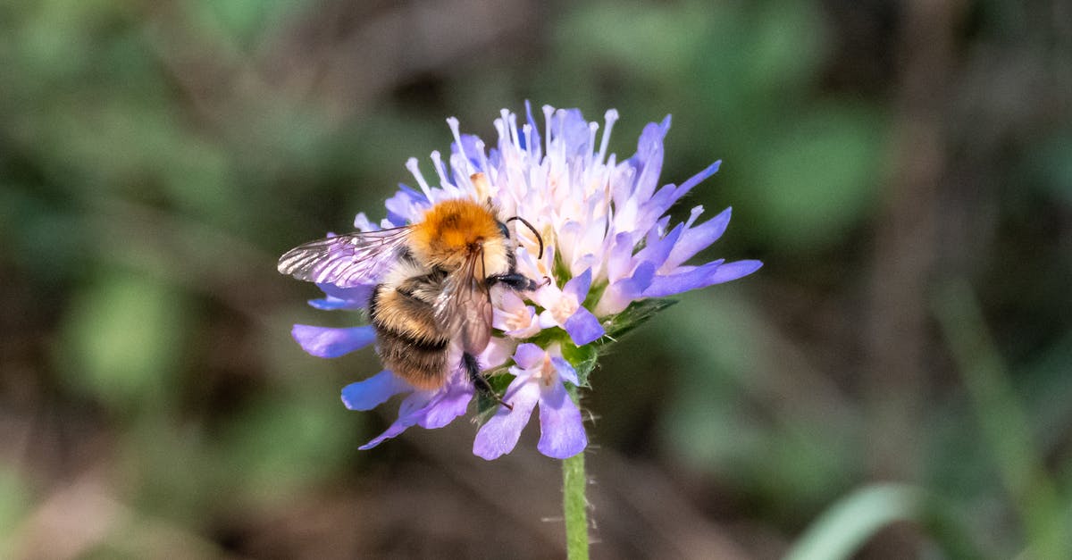 découvrez les politiques environnementales qui façonnent notre avenir. explorez les initiatives visant à protéger la planète, promouvoir la durabilité et encourager un développement responsable. engageons-nous ensemble pour un monde plus vert.