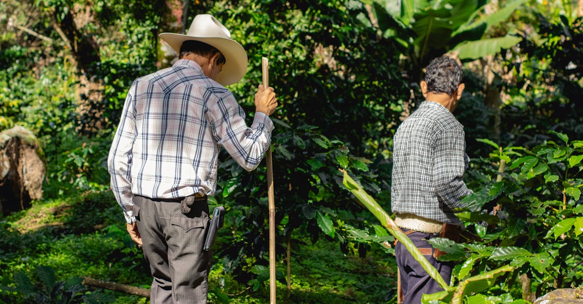 découvrez les principes de l'agriculture durable, une pratique respectueuse de l'environnement qui vise à produire des aliments de manière responsable tout en préservant les ressources naturelles. apprenez comment cette approche favorise la biodiversité, réduit l'usage d'intrants chimiques et améliore la santé des sols pour un avenir alimentaire durable.