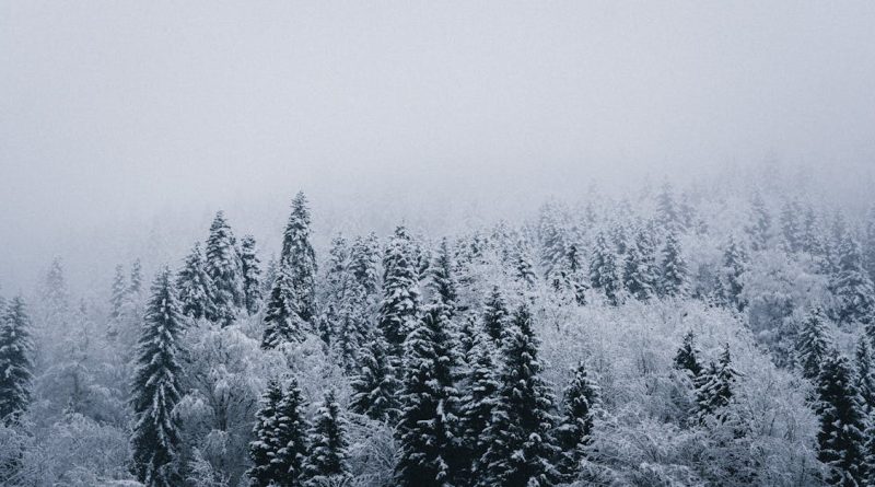 découvrez les enjeux cruciaux du lien entre l'énergie et le climat. explorez des solutions innovantes pour une transition énergétique durable et les mesures nécessaires pour atténuer les impacts climatiques.