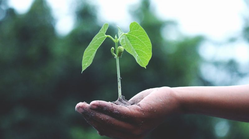 découvrez des actions concrètes pour lutter contre le changement climatique. informez-vous sur les initiatives qui font la différence et comment vous pouvez contribuer à un avenir durable.