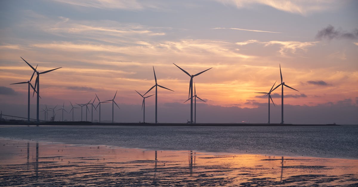 Intégrer l’environnement, le climat et la durabilité comme axes stratégiques prioritaires de l’UE pour garantir le succès futur