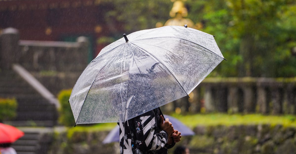 découvrez tout sur les précipitations : types de pluie, impact environnemental, tendances climatiques et conseils pour s'adapter aux variations météorologiques. informez-vous sur l'importance de l'eau pluie dans notre écosystème.