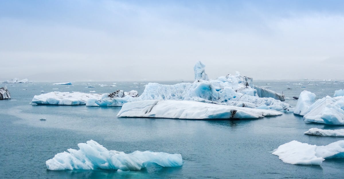 Les impacts du changement climatique sur la biodiversité