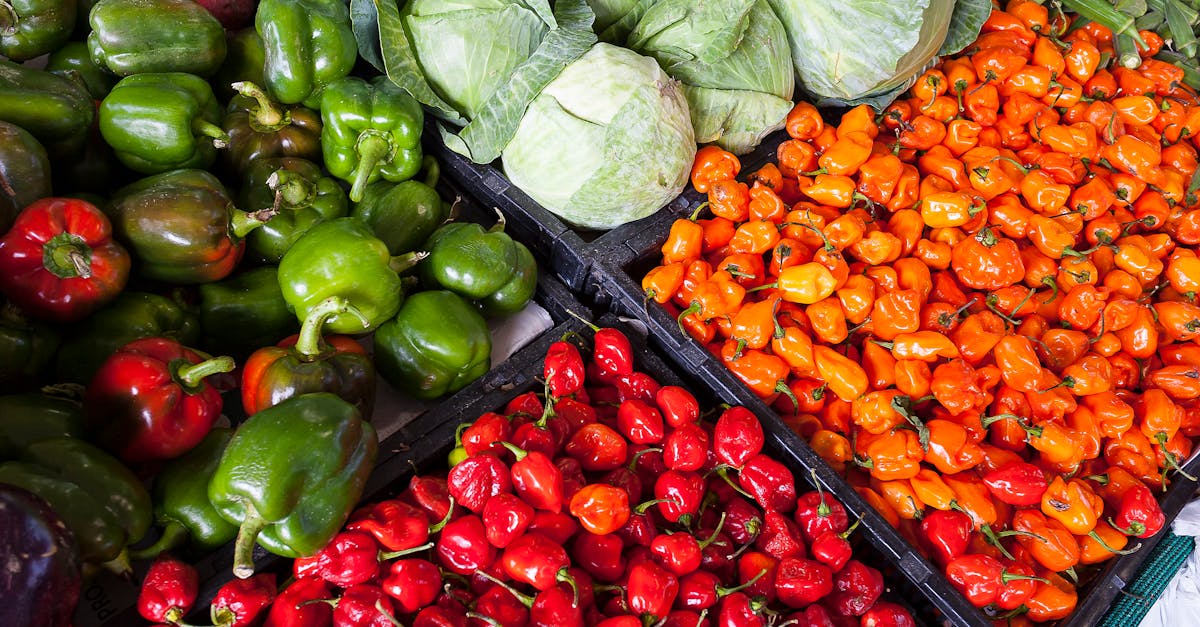 découvrez le monde de l'agriculture, un secteur vital pour notre économie et notre environnement. explorez les techniques modernes, les enjeux de durabilité, et les innovations qui façonnent l'avenir de l'agriculture à travers le monde.