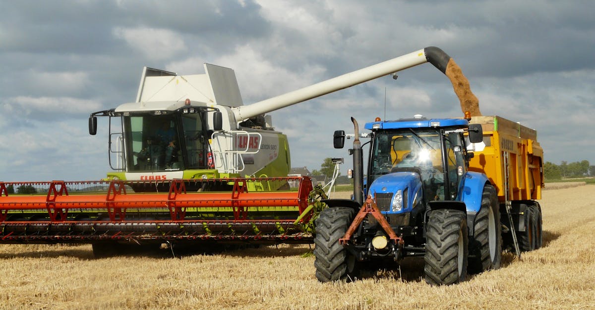 découvrez le monde fascinant de l'agriculture, ses techniques innovantes, ses enjeux environnementaux et son rôle crucial dans la sécurité alimentaire mondiale. explorez les tendances durables et les nouvelles technologies qui transforment le secteur agricole.