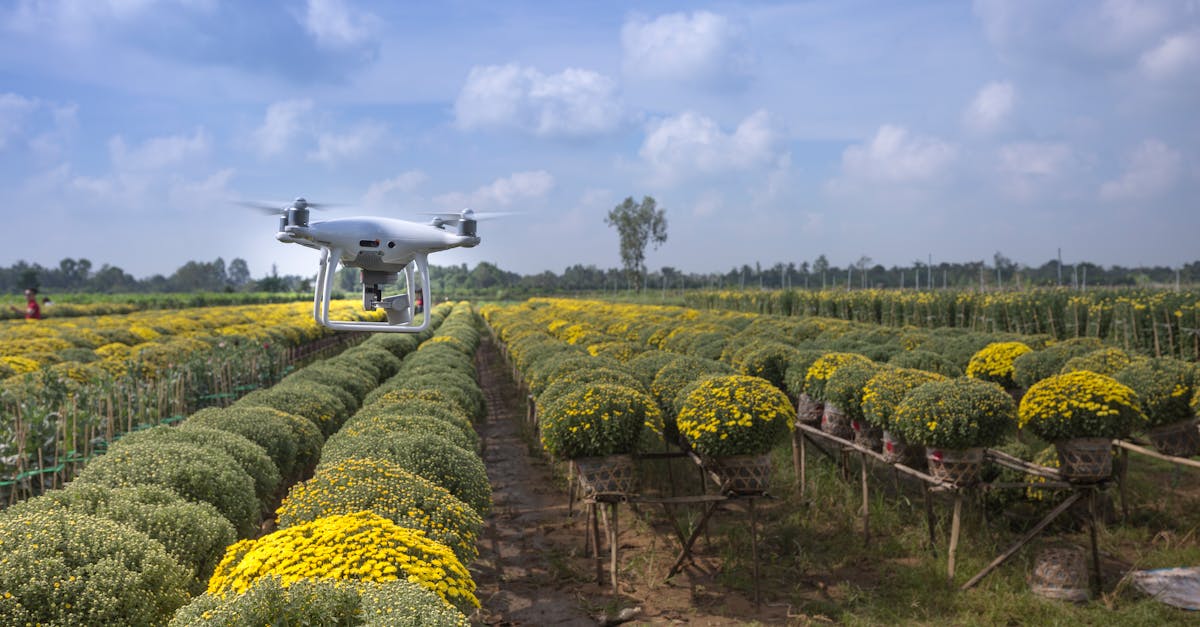 découvrez l'univers de l'agriculture : pratiques durables, innovations technologiques et impacts environnementaux. explorez comment l'agriculture façonne notre alimentation et soutient l'économie tout en respectant la planète.