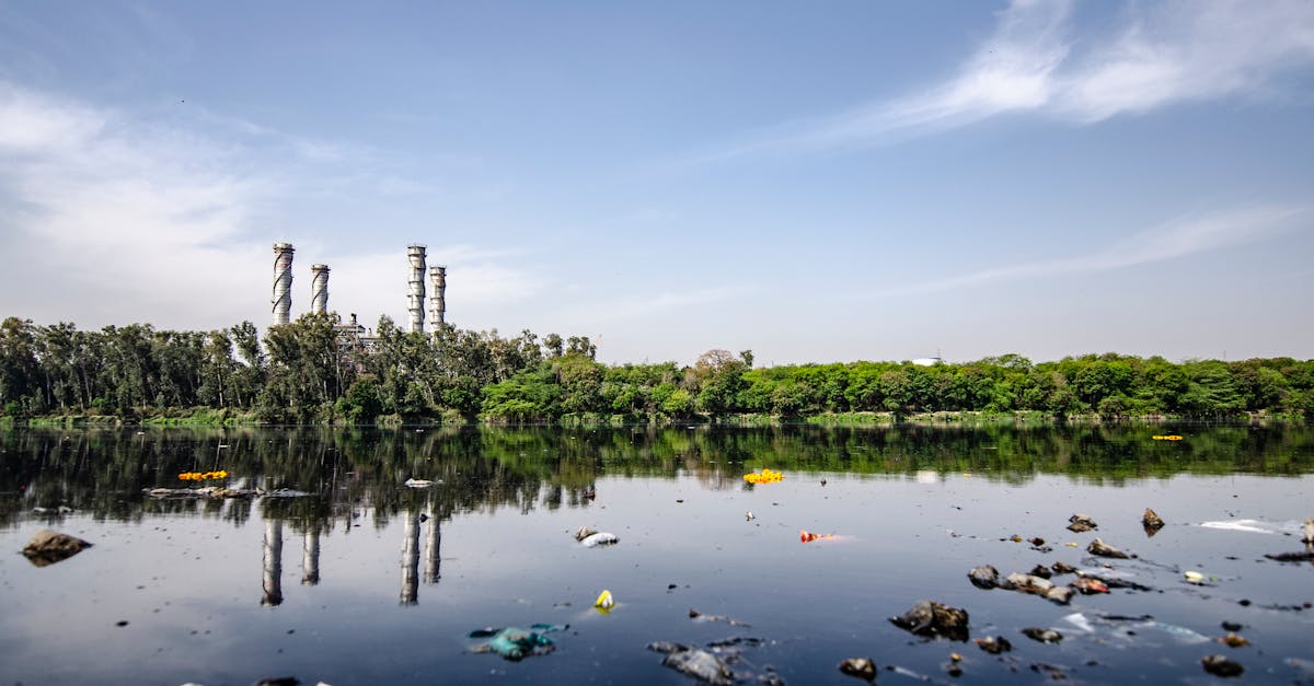 découvrez les enjeux de la pollution de l'air, ses causes et ses conséquences sur la santé et l'environnement. informez-vous sur les solutions pour réduire votre impact et améliorer la qualité de l'air que nous respirons.