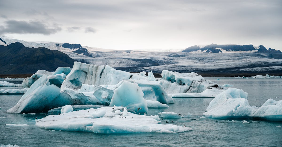 découvrez les défis du climat arctique, une région vulnérable face au réchauffement climatique. analyse des impacts environnementaux, des conséquences sur la faune et la flore, ainsi que des enjeux géopolitiques liés à ces transformations rapides.