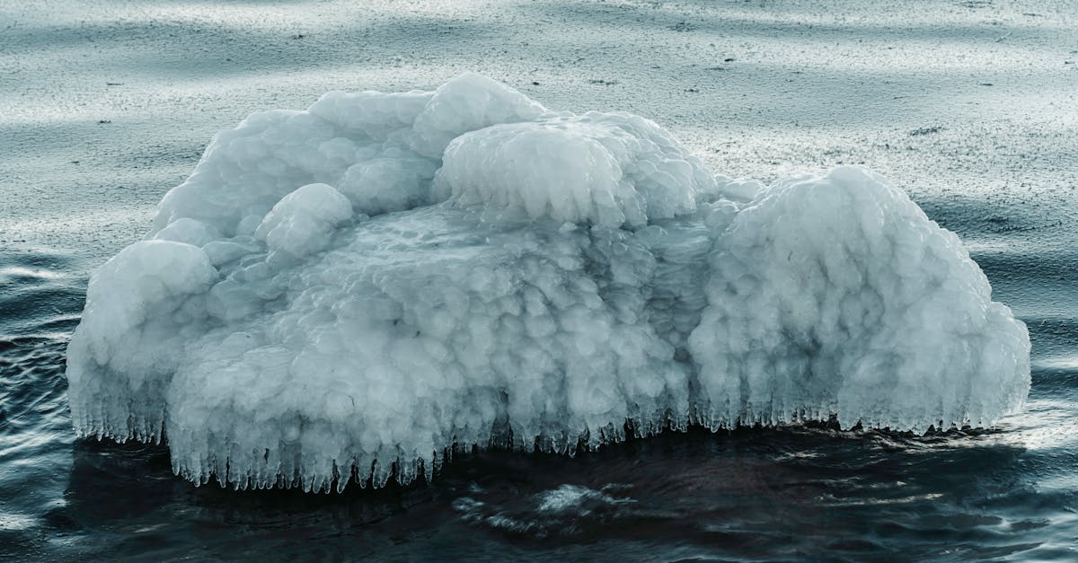 découvrez les défis du climat arctique, un environnement fragile confronté à des changements rapides. analysez l'impact des activités humaines et le réchauffement climatique sur cet écosystème unique et explorez des solutions pour préserver cet habitat vital.