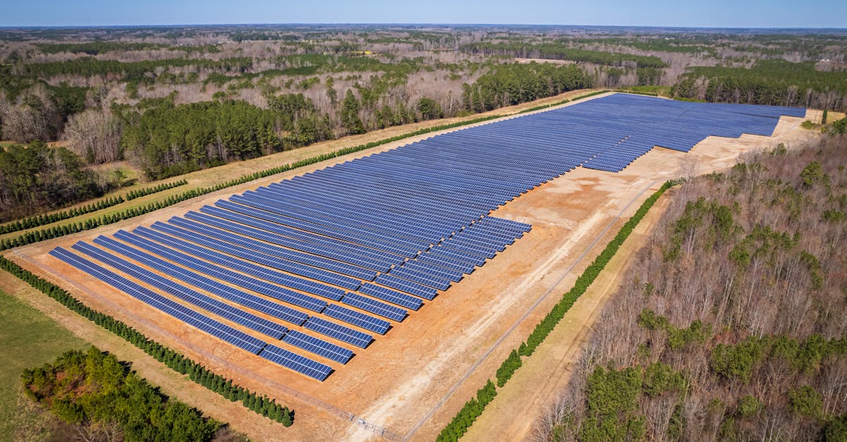 découvrez tout sur l'empreinte carbone, son impact sur l'environnement et les actions à entreprendre pour la réduire. informez-vous sur les solutions durables pour vivre en harmonie avec notre planète.