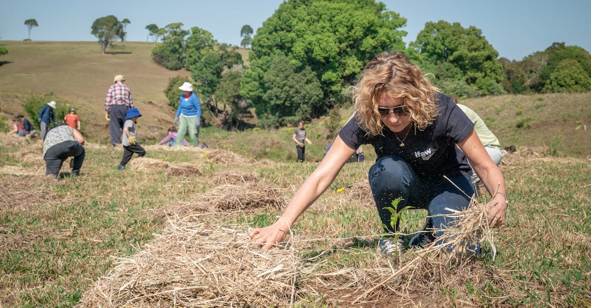 découvrez des actions concrètes et des initiatives inspirantes pour lutter contre le changement climatique. rejoignez le mouvement pour un avenir durable et apprenez comment chaque effort compte dans la protection de notre planète.