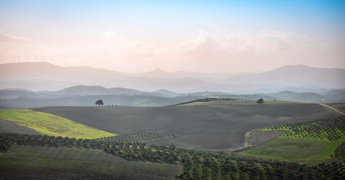 découvrez les accords climatiques mondiaux qui visent à lutter contre le changement climatique, favoriser le développement durable et mobiliser les nations pour un avenir respectueux de l'environnement.