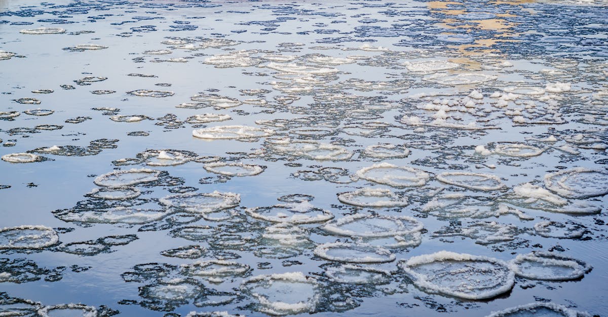 découvrez les derniers accords climatiques qui visent à lutter contre le changement climatique, améliorer la coopération internationale et promouvoir des solutions durables pour un avenir meilleur.