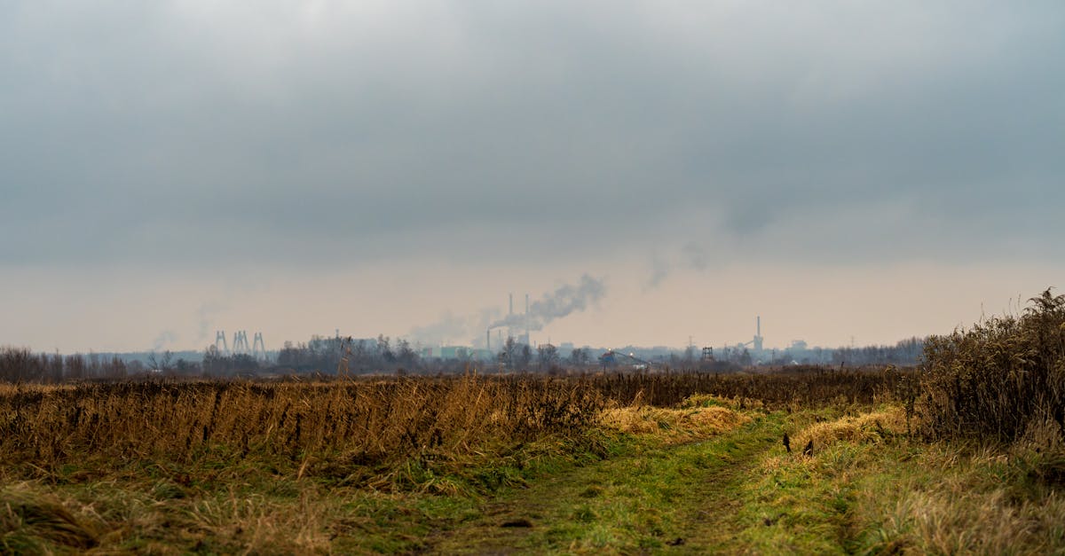 découvrez notre analyse approfondie du climat, qui explore les tendances, les impacts et les solutions pour un avenir durable. informez-vous sur les enjeux climatiques actuels et les actions à entreprendre.