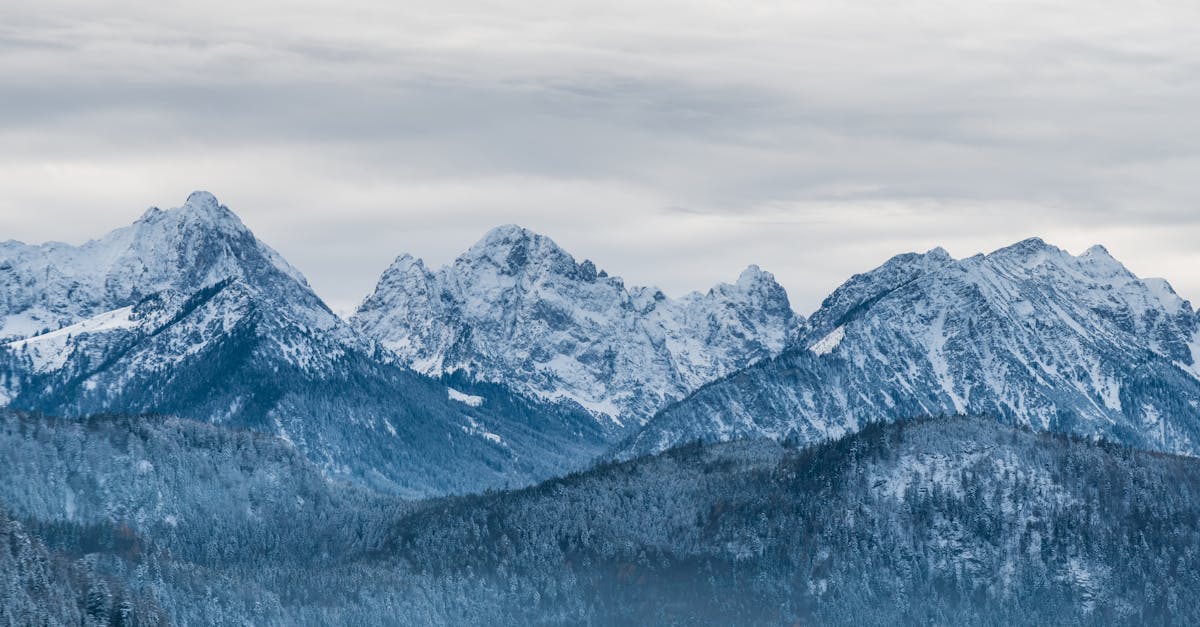 découvrez les défis climatiques mondiaux qui menacent notre planète. analysez les impacts du changement climatique et explorez les solutions pour un avenir durable.