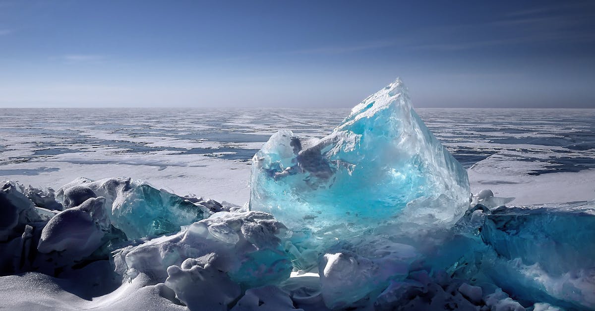 découvrez les enjeux du changement climatique : causes, conséquences et solutions. apprenez comment chacun peut contribuer à un avenir durable pour notre planète.