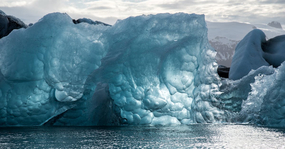 découvrez les enjeux cruciaux du changement climatique, ses impacts sur notre planète et les solutions pour un avenir durable. engagez-vous dans la lutte contre le réchauffement climatique et apprenez comment chaque geste compte pour préserver notre environnement.