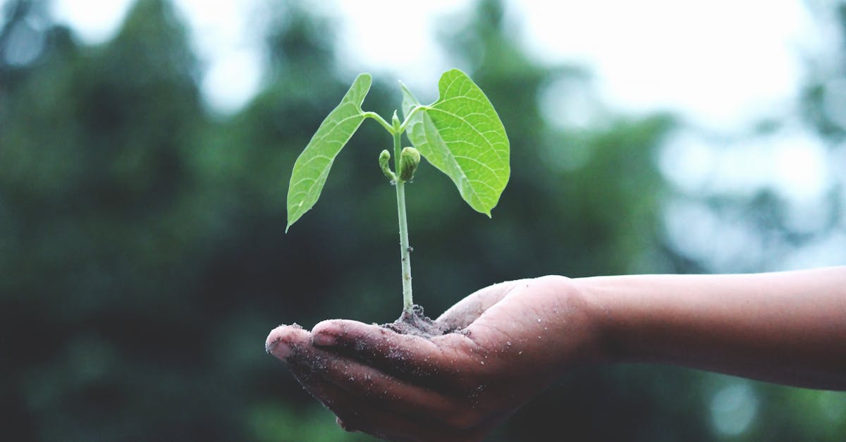 découvrez l'impact du changement climatique sur notre planète, les causes majeures et les actions à entreprendre pour préserver notre environnement. rejoignez la lutte pour un avenir durable.