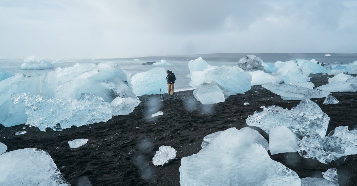 découvrez les enjeux et les impacts du changement climatique sur notre planète. informez-vous sur les causes, les effets et les solutions pour lutter contre ce phénomène mondial qui affecte les écosystèmes et les sociétés.