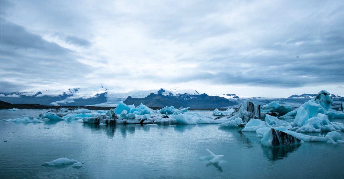 découvrez les enjeux du changement climatique, ses impacts sur notre planète et les actions à entreprendre pour préserver notre environnement pour les générations futures.