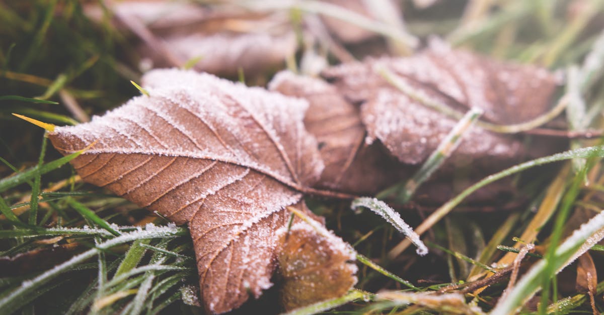 découvrez les technologies innovantes qui luttent contre le changement climatique. explorez les solutions durables, des énergies renouvelables aux systèmes de captage de carbone, pour un avenir plus vert et responsable.