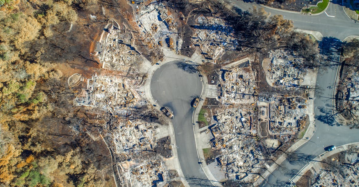 découvrez les enjeux majeurs de la crise climatique, ses impacts sur notre planète et les actions essentielles pour un avenir durable. engagez-vous pour une transformation écologique et luttez contre les effets du changement climatique.