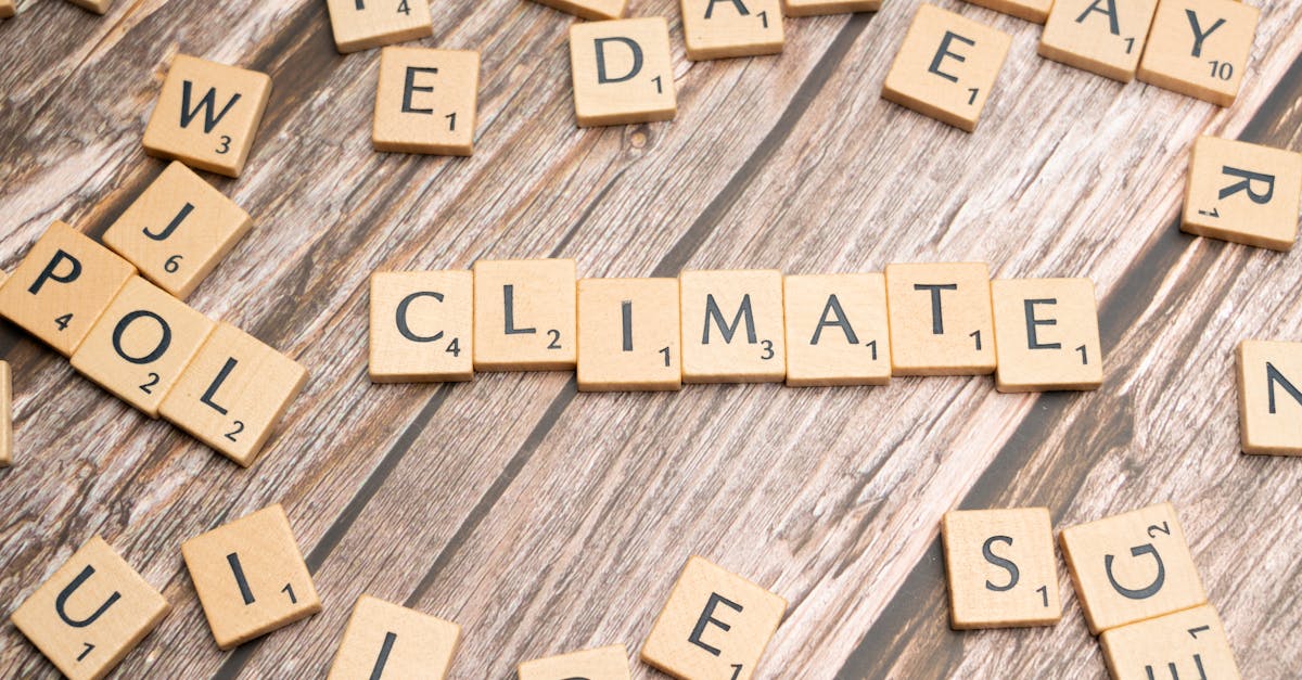 découvrez l'importance de l'éducation climatique pour sensibiliser les générations futures aux enjeux environnementaux. apprenez comment intégrer des pratiques durables dans votre quotidien tout en comprenant les impacts du changement climatique sur notre planète.