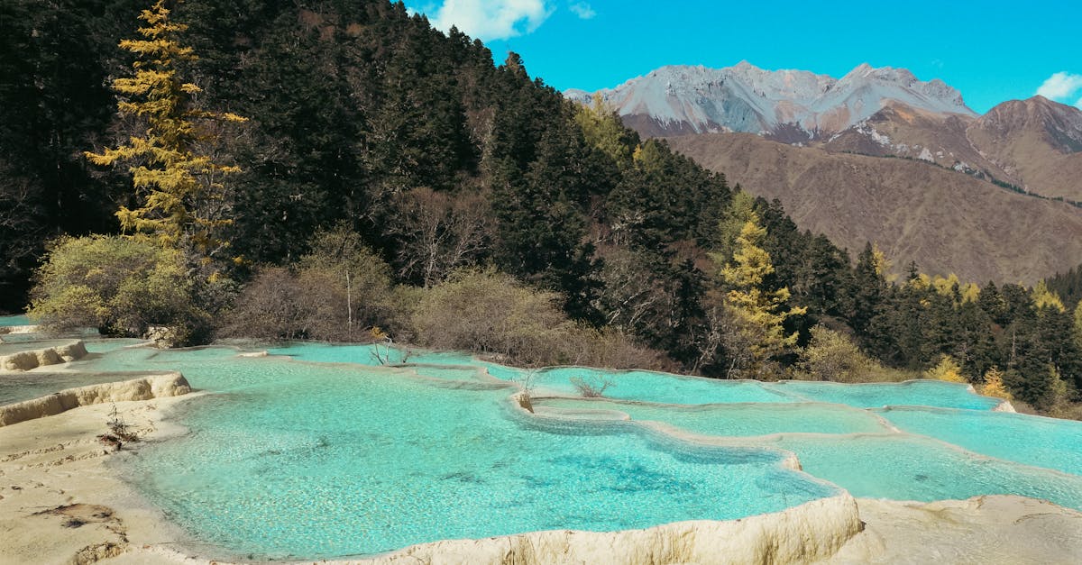 découvrez les initiatives climatiques innovantes qui visent à protéger notre planète et à promouvoir un avenir durable. informez-vous sur les projets locaux et mondiaux, les engagements des entreprises et les actions citoyennes pour lutter contre le changement climatique.