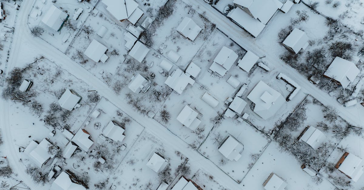 découvrez notre plan d'action climatique, conçu pour lutter contre le changement climatique en promouvant des solutions durables et en favorisant un avenir plus vert. rejoignez-nous dans notre engagement pour protéger la planète et assurer un environnement sain pour les générations futures.