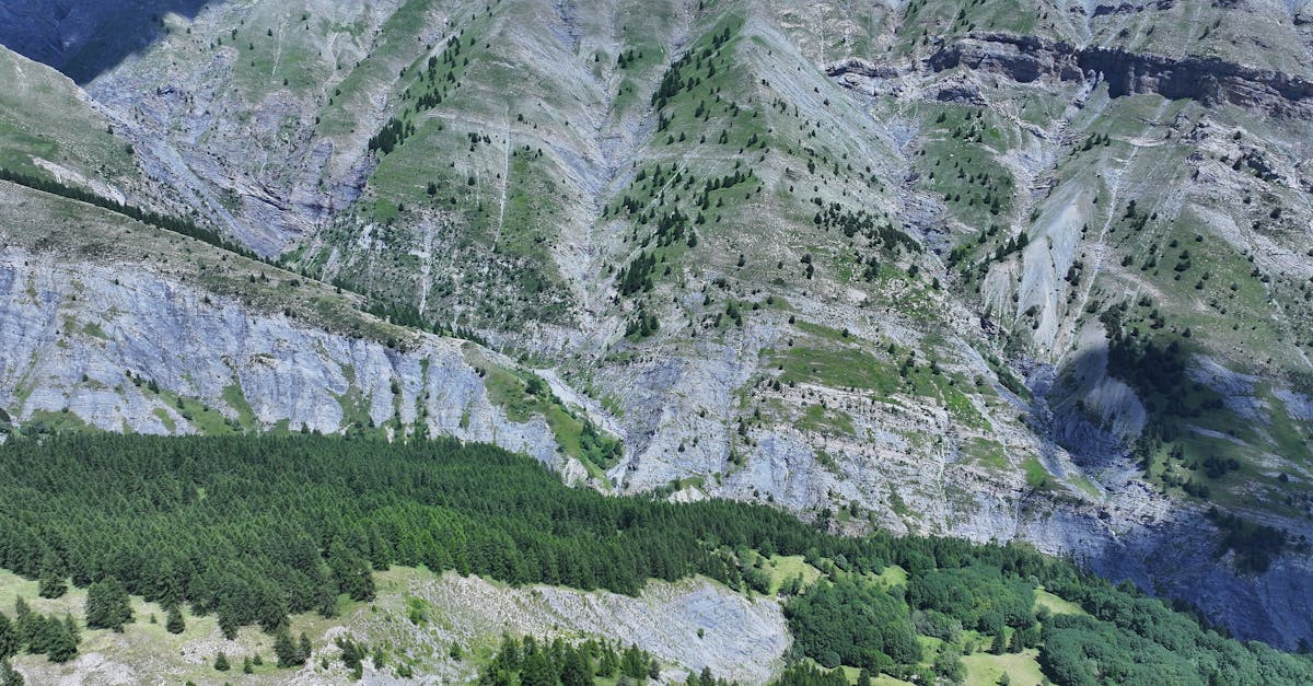 découvrez les enjeux et les conséquences des bouleversements climatiques sur notre planète. explorez les causes, les impacts sur l'environnement et les solutions potentielles pour lutter contre le changement climatique.