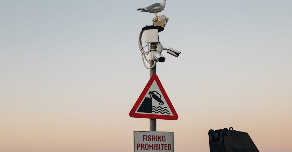 découvrez les dernières technologies et stratégies en matière de surveillance côtière pour protéger nos littoraux. explorez les solutions innovantes pour surveiller l'environnement marin, prévenir les activités illégales et assurer la sécurité maritime.