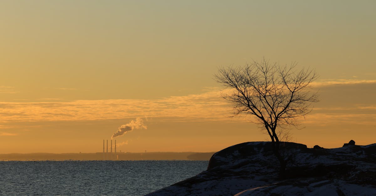 découvrez les politiques environnementales qui façonnent notre avenir durable. informez-vous sur les initiatives, les lois et les actions visant à protéger notre planète et à promouvoir un développement responsable.