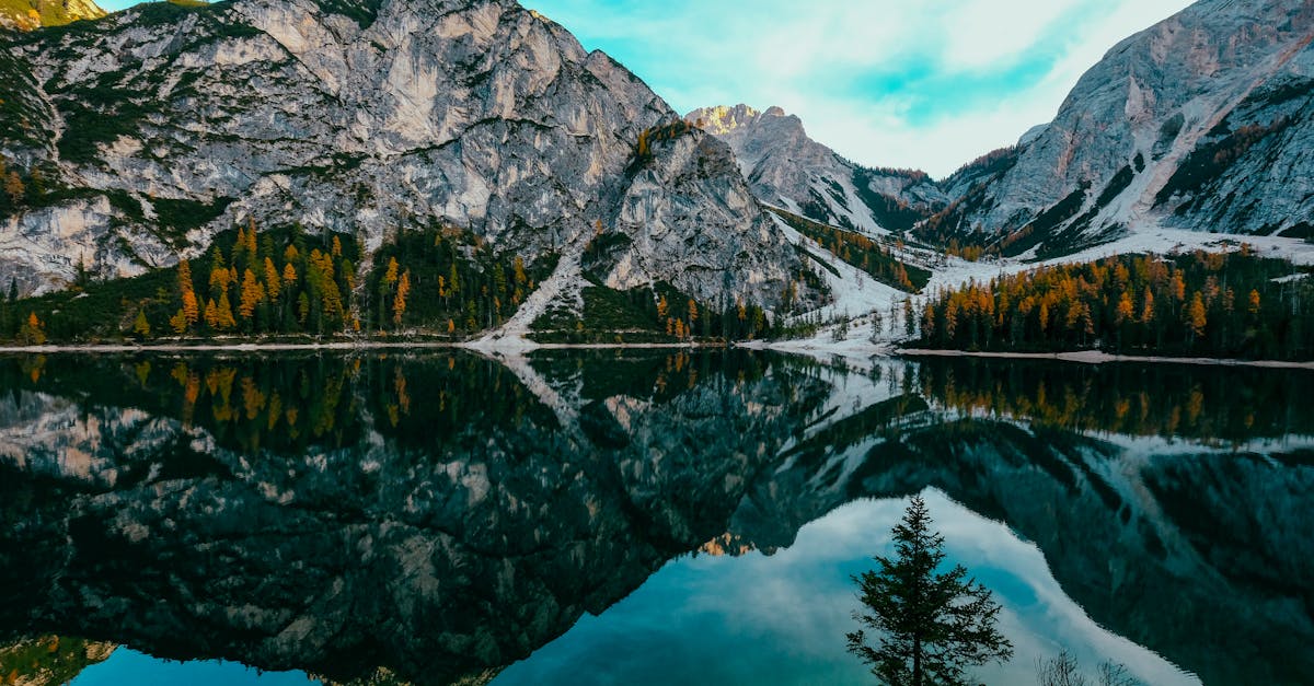 découvrez la richesse et la biodiversité des forêts, écosystèmes vitaux pour notre planète. apprenez-en davantage sur leur rôle essentiel dans la lutte contre le changement climatique, leur importance pour la faune et la flore, et comment préserver ces précieuses ressources naturelles.