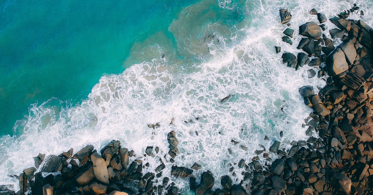 découvrez la majesté des océans, ces vastes étendues d'eau qui recouvrent notre planète. explorez leur biodiversité unique, les écosystèmes marins fascinants et l'importance cruciale des océans pour la vie sur terre. plongez dans l'univers des profondeurs marines et comprenez les enjeux de leur protection.