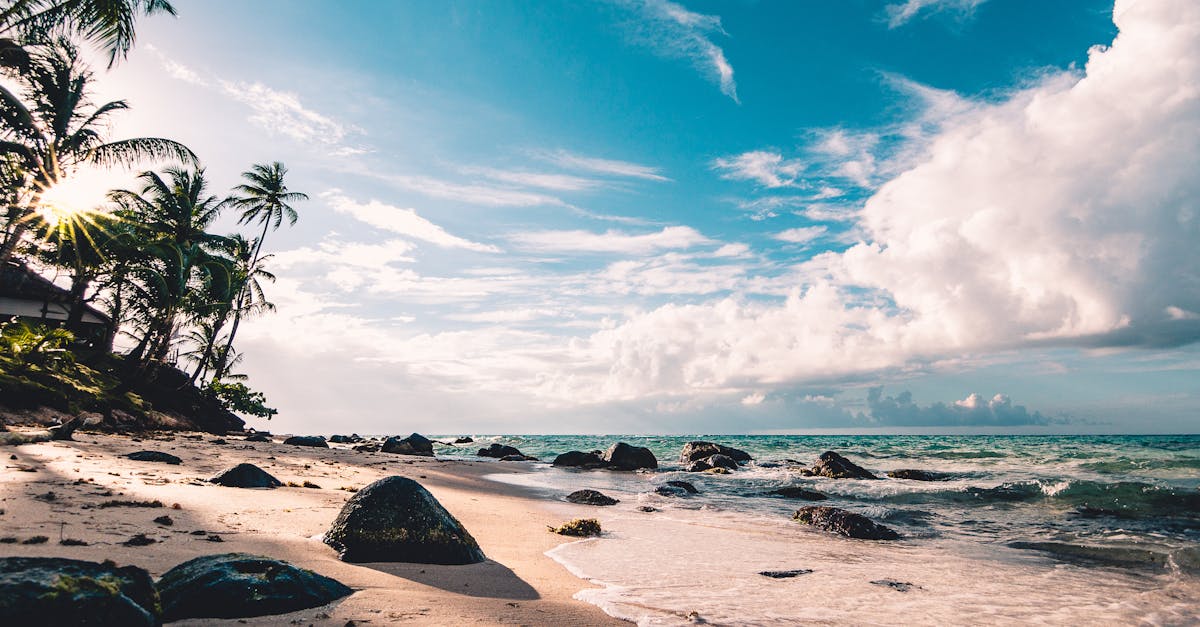 découvrez les merveilles des océans, ces vastes étendues d'eau qui abritent une biodiversité fascinante. explorez les écosystèmes marins, les espèces incroyables et les enjeux de préservation qui sont essentiels pour notre planète. plongez dans l'univers des océans et leur importance vitale pour l'humanité.