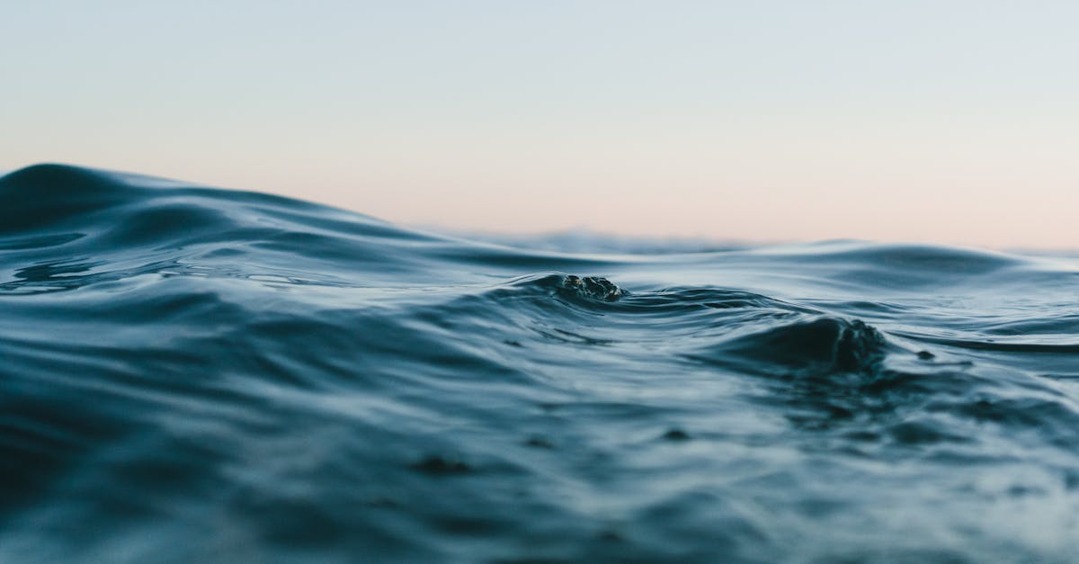 découvrez la beauté et la diversité des océans, leur rôle vital pour la planète, ainsi que les écosystèmes fascinants et les espèces qui y habitent. plongez dans un monde marin riche en merveilles naturelles et engagez-vous pour la préservation de nos mers.