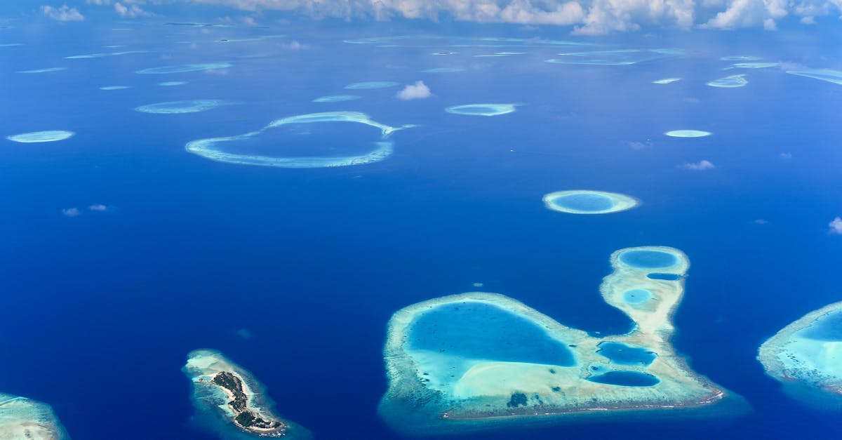 découvrez les enjeux liés à l'élévation du niveau de la mer, ses causes et ses conséquences sur l'environnement et les sociétés humaines. informez-vous sur les actions à entreprendre pour lutter contre ce phénomène et protéger notre planète.