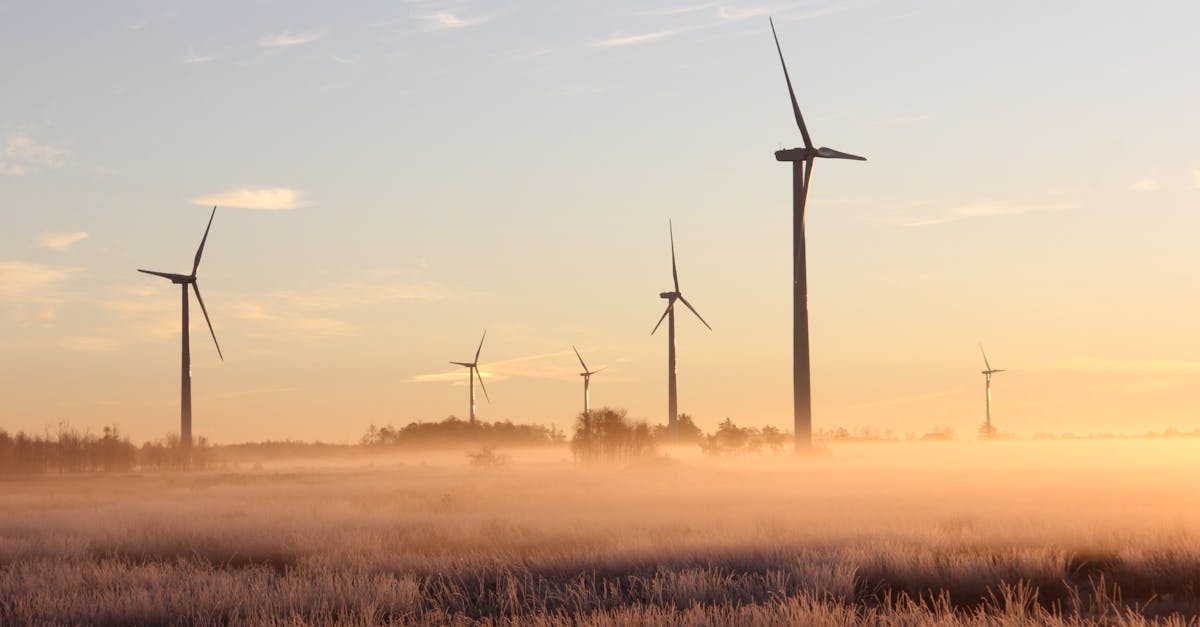 découvrez l'importance de la durabilité pour notre planète. explorez des solutions écologiques et des pratiques responsables qui favorisent un avenir plus vert et respectueux de l'environnement.