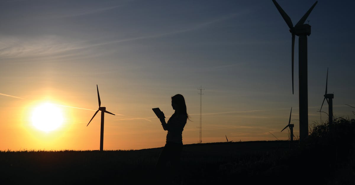 découvrez comment la durabilité façonne notre avenir, en intégrant des pratiques respectueuses de l'environnement, économiques et sociales pour un monde meilleur.