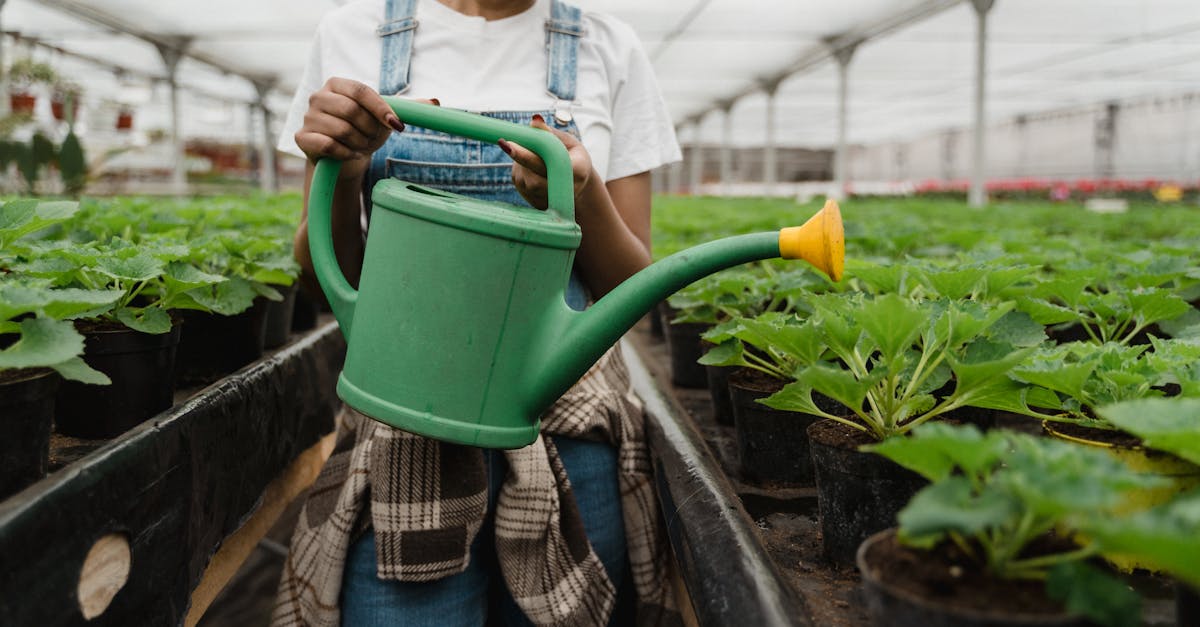 découvrez l'agriculture durable, une approche innovante qui préserve l'environnement tout en offrant des solutions alimentaires viables. explorez les pratiques respectueuses de la planète, soutenez la biodiversité et contribuez à un avenir meilleur grâce à des méthodes agricoles responsables.