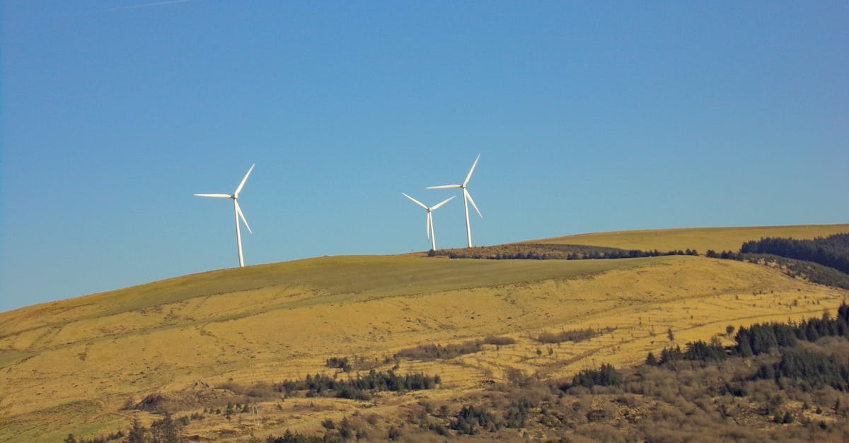 découvrez les enjeux et les principes du développement durable, une approche essentielle pour préserver notre planète tout en répondant aux besoins des générations actuelles et futures.