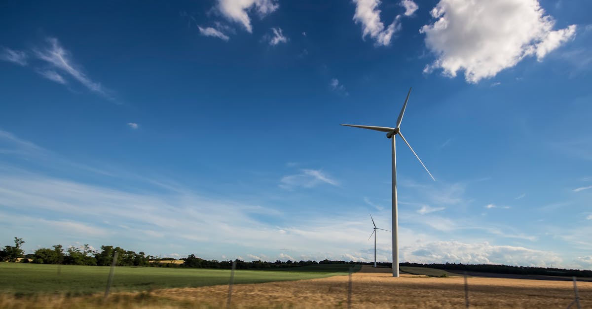 découvrez comment le développement durable vise à répondre aux besoins du présent sans compromettre la capacité des générations futures à satisfaire les leurs. explorez les pratiques, les stratégies et les innovations pour une planète plus verte et un avenir responsable.