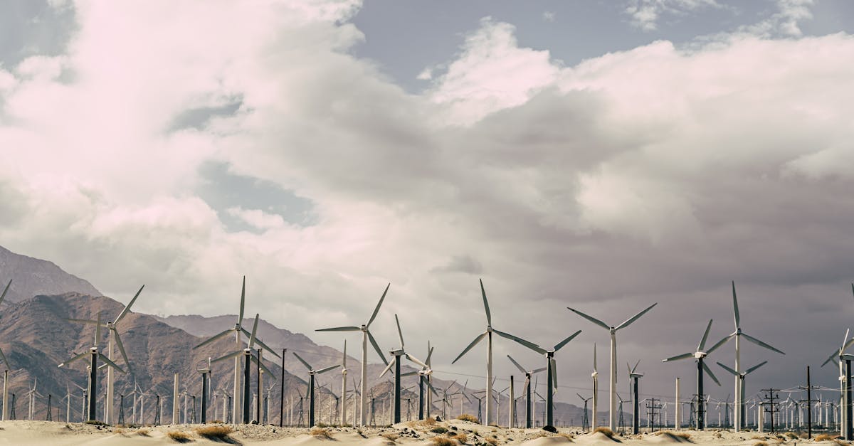 découvrez les enjeux et les stratégies du développement durable, une approche essentielle pour préserver notre planète tout en répondant aux besoins des générations actuelles et futures. apprenez comment allier économie, environnement et bien-être social.