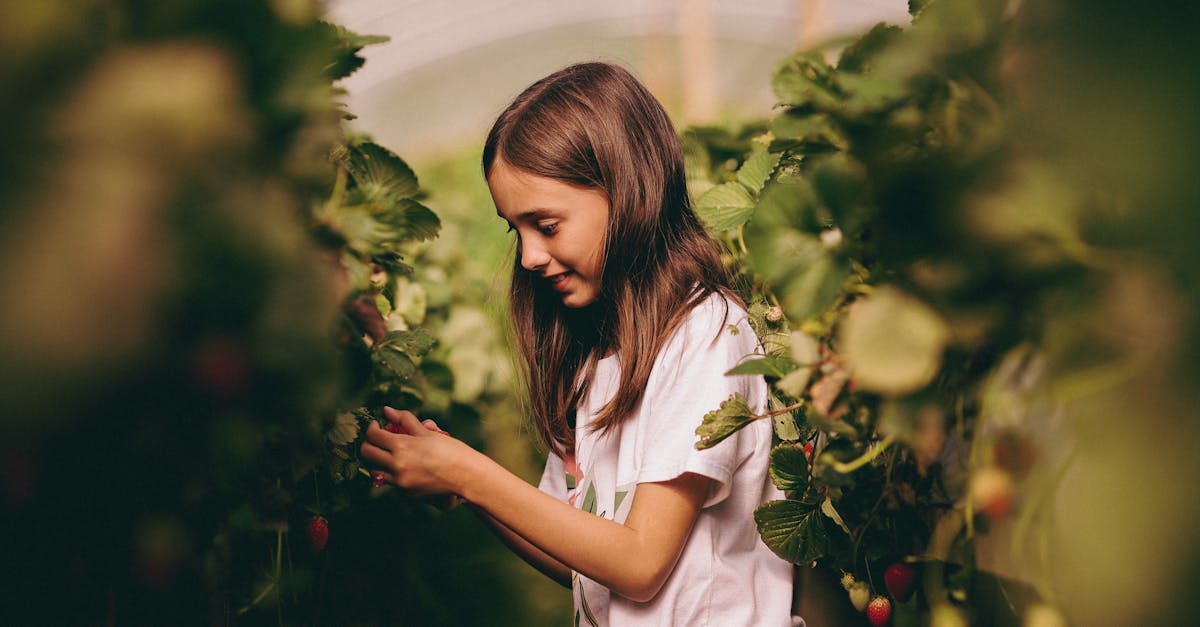 découvrez comment favoriser un écosystème durable grâce à des pratiques respectueuses de l'environnement, la préservation de la biodiversité et l'optimisation des ressources. engagez-vous pour un avenir plus vert et équilibré.