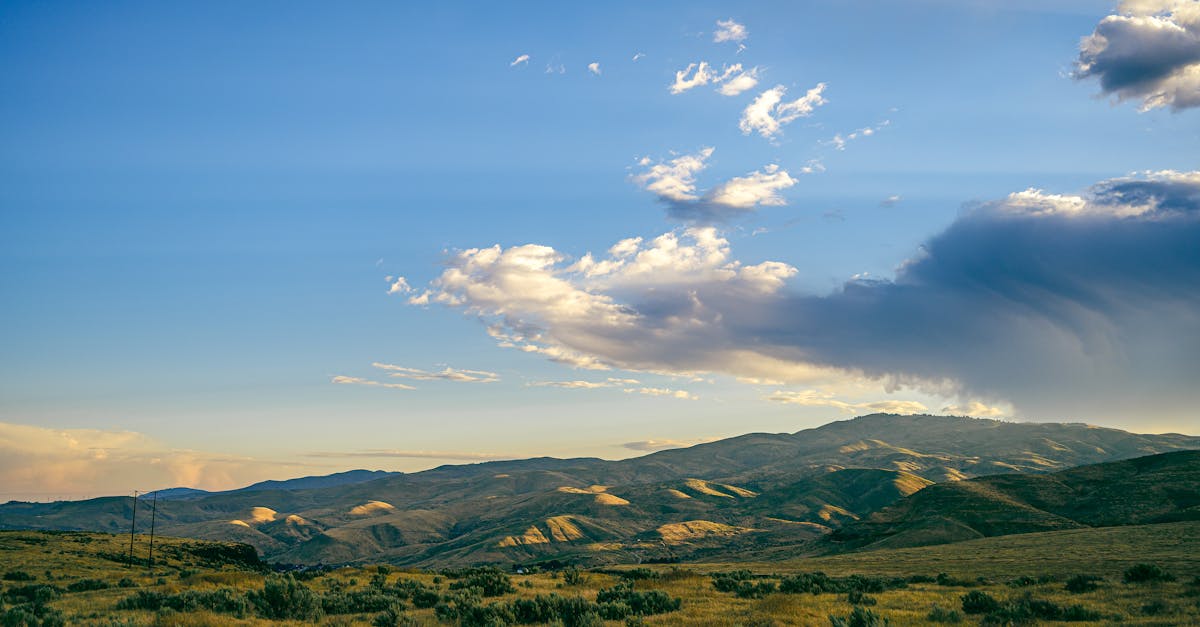 découvrez les caractéristiques d'un climat tempéré, marqué par des saisons distinctes, des températures modérées et une biodiversité riche. explorez comment ce type de climat influence la vie quotidienne et l'agriculture dans différentes régions du monde.