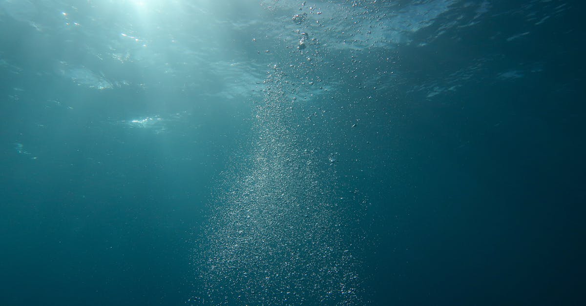 découvrez l'importance de l'eau pour la vie, ses diverses utilisations et son impact sur notre planète. apprenez comment préserver cette ressource précieuse pour les générations futures.