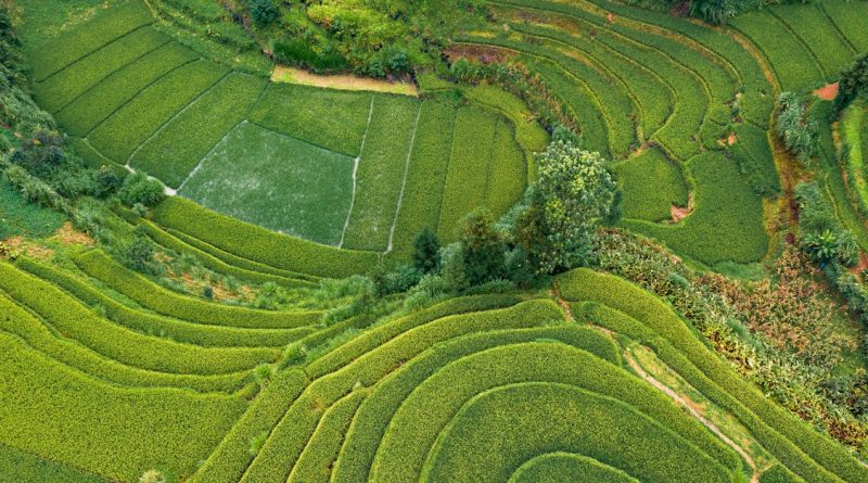 découvrez l'agriculture durable : une approche innovante et respectueuse de l'environnement qui vise à allier production, préservation des ressources et bien-être social. apprenez comment cette pratique peut répondre aux défis alimentaires tout en protégeant notre planète.